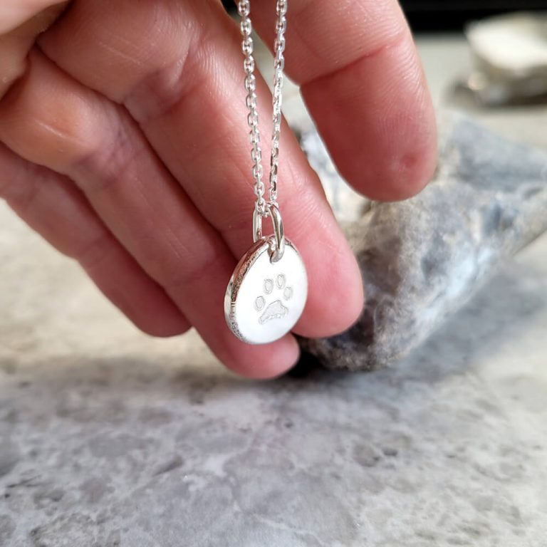 Halsband med en hundtass graverad på